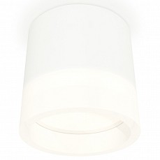Накладной светильник ambrella light xs xs8110001